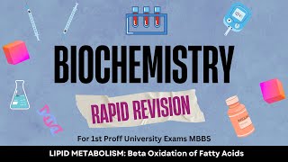 Lipid Metabolism Biochemistry rapid revision for MBBS first year university exams [upl. by Fawnia]