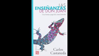 Carlos Castaneda  Las Enseñanzas de Don Juan [upl. by Burty]