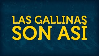 LAS GALLINAS SON ASÍ ► con letra [upl. by Yenots]