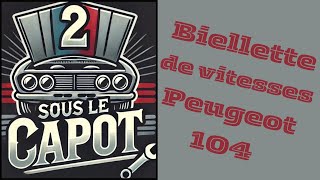 La Biellette de la 104 [upl. by Joelle268]