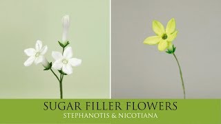 How to Make Stephanotis Nicotiana  Sugar Filler Flowers Part 2 [upl. by Suiratnauq]