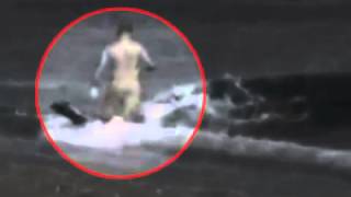 Killer Whale Attacks Man On Beach  WARNING Graphic [upl. by Leftwich]