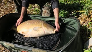 Carp Fishing Sinah Warren Portsmouth Hayling Island Southcoast United kingdom [upl. by Ralli]