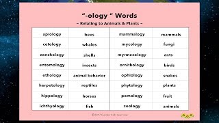 How to Say the quotOlogyquot Words for Different Animals amp Plants  Learn Ology Words [upl. by Lallage]