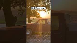 Fall farm days F150 Ford [upl. by Bugbee]