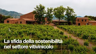 La sfida della sostenibilità nel settore vitivinicolo [upl. by Crosley]