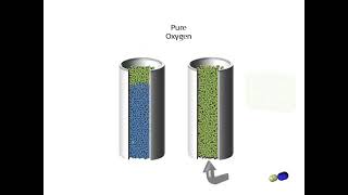 Pressure Swing Adsorber I pressure swing adsorption process I pressure swing adsorption animation [upl. by Llieno556]