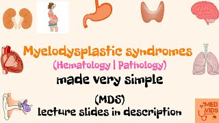 Myelodysplastic syndromes  MDS  Pathology  Med Vids made simple [upl. by Roswald109]