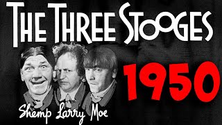 The THREE STOOGES  1950 MARATHON 2 12 HOURS [upl. by Eemia]