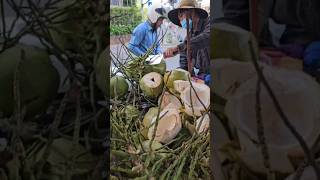 Awesome coconut fruit opening style streetfood coconut shorts viralvideo [upl. by Aihsenek999]