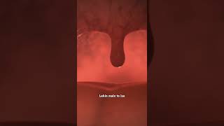 How Uvula Works [upl. by Aslehc]