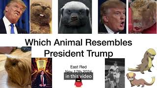 【Thesis Defense】Which Animal Resembles Donald Trumps Presidential Character [upl. by Dumm]