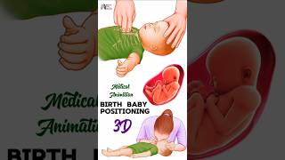 Birth  Baby Positioning medical animation 3d short BiologywithAliya [upl. by Kemppe]