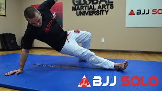 BJJ Solo  Total Body Workout w Brazilian Jiu Jitsu Movements Beginner [upl. by Naida]