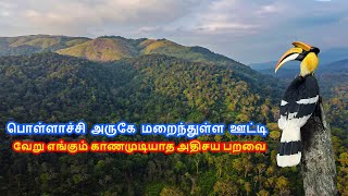 பொள்ளாச்சி அருகே மறைந்துள்ள ஊட்டி  Nelliyampathy [upl. by Analrahc]