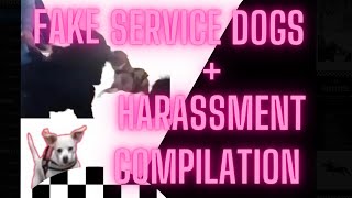 Fake Service Dog  Harassment Compilation [upl. by Anahc]