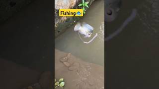 New fishing video Fishing with Norm [upl. by Enicul780]