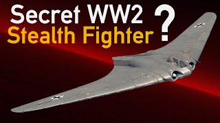 Ho 229  The First Stealth Fighter [upl. by Vowel648]