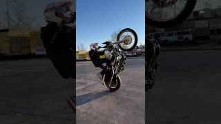 Sportster wheelie harleywheelies sportster stunt [upl. by Atnauqal]