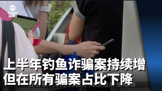 我国上半年钓鱼诈骗案持续增加 但在所有骗案占比有所下降 [upl. by Prima]