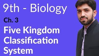 9th Class Biology  Chapter 3  Five Kingdom Classification System [upl. by Iaka]