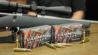 65 Creedmoor 95gr VMAX® Varmint Express® Indepth Overview [upl. by Ennovihc567]