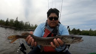 Spring Pike fishing in Lake Dalrymple [upl. by Nasar]