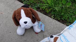 Finally tracked down a Webkinz Corgi [upl. by Colston720]