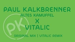 Paul Kalkbrenner X Vitalic  Altes Kamuffel  Vitalic Remix Official PK Version [upl. by Annai825]