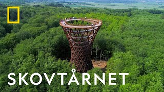 National Geographic besøger Skovtårnet på Sjælland [upl. by Cirillo]