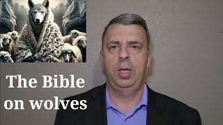 The Bible and Wolves [upl. by Nicolea]