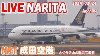 🔴LIVE at NARITA International Airport Plane Spotting 20240324 成田空港ライブカメラ 成田空港 NRTRJAA [upl. by Shandy]