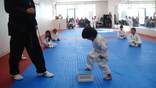 3YearOld Tries to Break Board in Taekwondo  Taekwondo Kid [upl. by Reywas]