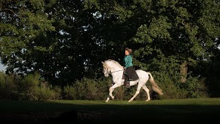 A Look Around Privatgestüt Möningerberg  Baroque PRE horses [upl. by Godderd976]