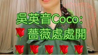 吳英音Coco薔薇處處開標哥懷舊音樂 現場音樂 牛仔舞音樂 [upl. by Ssalguod405]