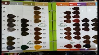 Bremod Hair Color Shade Introduction By The Stylish Mod [upl. by Molly]