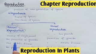 Reproduction in plants  Life Cycle Bryophyte And Gymnosperms  Class 12 Biology [upl. by Svetlana]