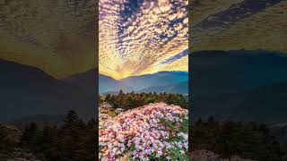 IMAGENS 4K ULTRA HD PAISAGENS POR DO SOL 🌞 [upl. by Pacificas133]