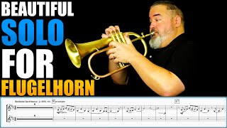 GORGEOUS FLUGELHORN SOLODUET quotBroken Piecesquot by Iain Mundy amp Matonizz Sheet Music Play Along [upl. by Eiramoj748]