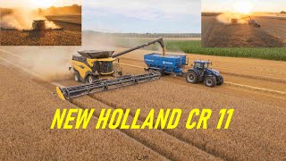 NEW HOLLAND CR 11  Agrar Nordsachsen  2024  HD  4K [upl. by Serge]