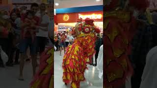 TERNYATA SERU ADA ATRAKSI BARONGSAI DI MALL [upl. by Som466]