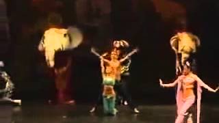 Ballet Dancer Steals Show Video [upl. by Werner]