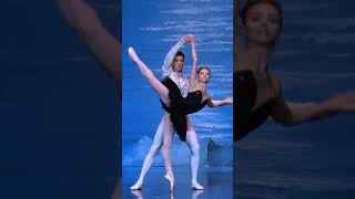 Russian ballet black swan dance swan lake ballet [upl. by Aseneg643]