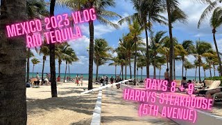 Mexico Vlog 2023 Riu Tequila Days 78  9 harrys steakhouse [upl. by Enaywd890]