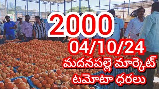 041024 Madanapalle Tomato Market price Today  Today Tomato Market Rate in Madanapalle today [upl. by Forcier]