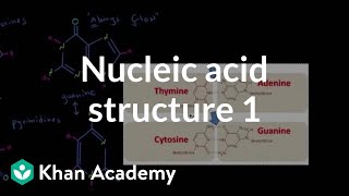 Nucleic acid structure 1  Chemical processes  MCAT  Khan Academy [upl. by Nuhs]