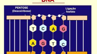 Curso de Biologia Molecular 15 [upl. by Icaj]