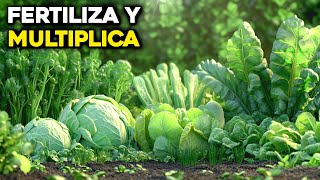 6 Fertilizantes Poderosos para Multiplicar tu Cosecha de Vegetales [upl. by Citarella100]