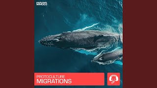 Migrations Extended Mix [upl. by Lindner]