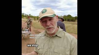 ATV Game drive at Mpala Safari Lodge [upl. by Elocel]